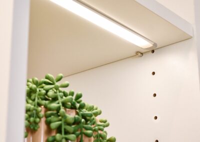 mountain closets, custom shelving colorado, california closets colorado, aspen custom storage, closet designers near me