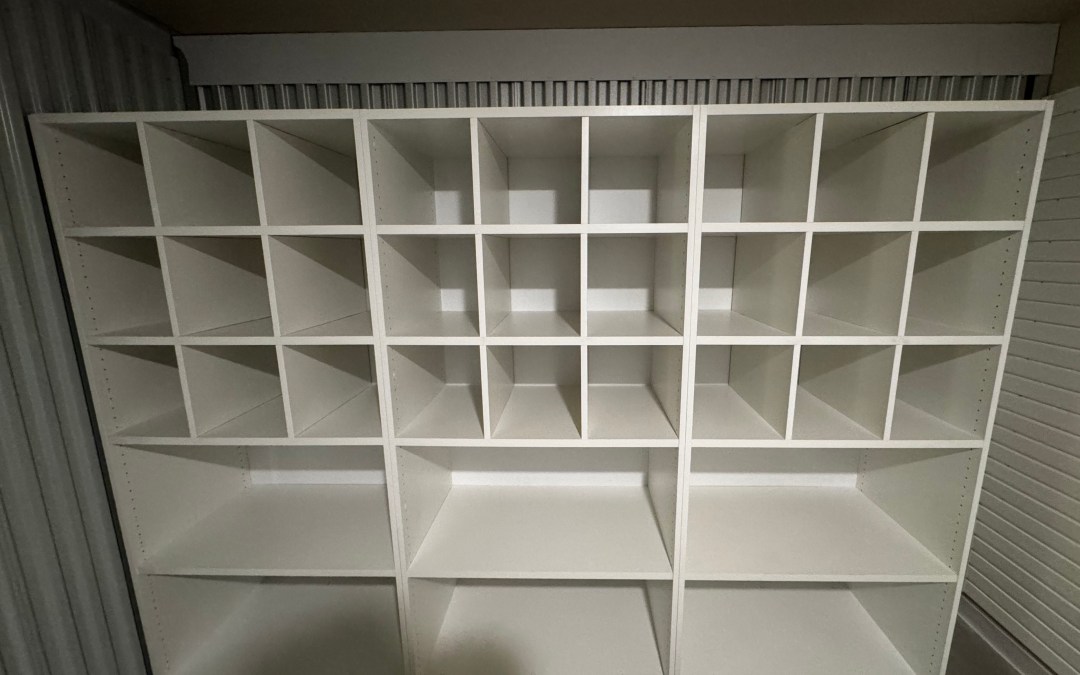 What Is a StoreWALL Garage Storage System? Panels, Pricing & What to Know
