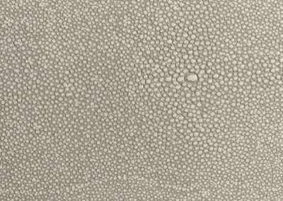 Leather wrapped countertop in Coco Shagreen