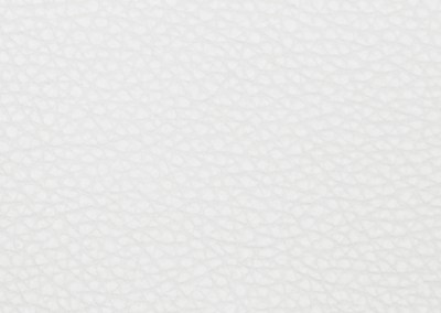 TAG Winter Leather Swatch